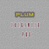 Plum Locksmith Pro  image 7